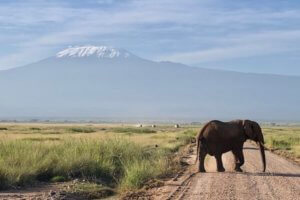 Amboseli