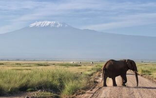 Amboseli