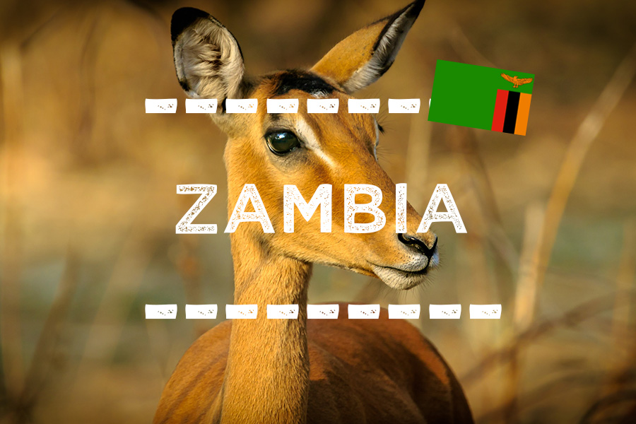 ザンビアの旅行情報 - ONLYONE AFRICA