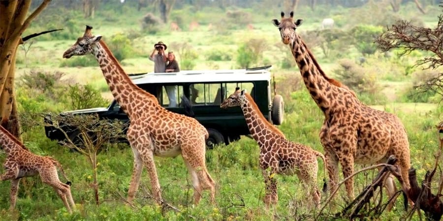 Masai Mara