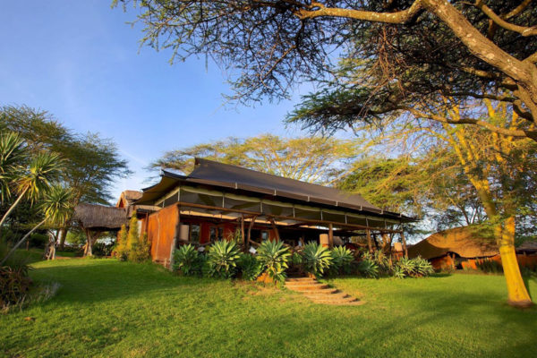 hotelLewasafari02