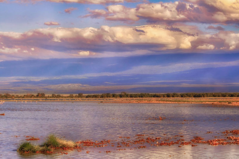 マラウイの旅行情報 ONLYONE AFRICA