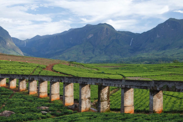 マラウイの旅行情報 ONLYONE AFRICA