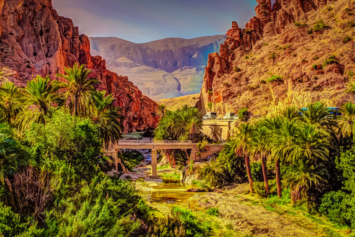 アルジェリアの旅行情報 ONLYONE AFRICA