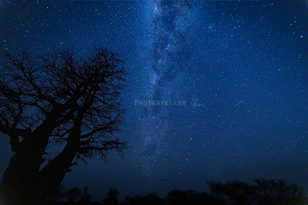 Baobabs under the Milky Way　バオバブと天の川