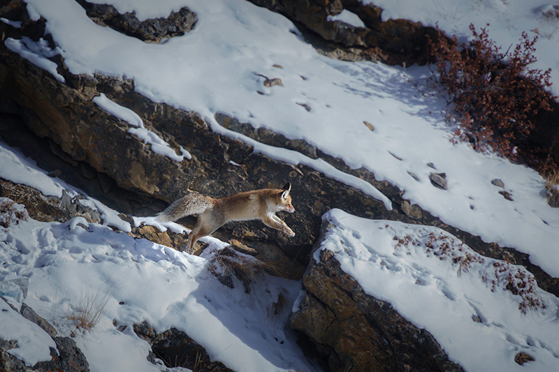 _DSC2033-Enhanced-NR-Edit