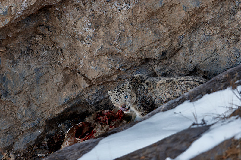 _S1D0839-Enhanced-NR-2