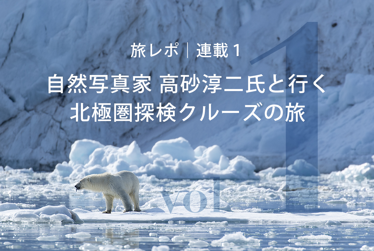 北極圏ブログ1_Eyecatch_ホッキョクグマ