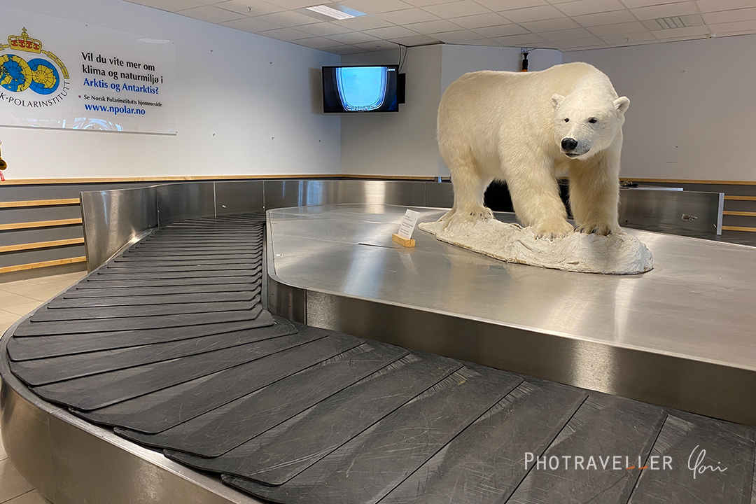 ロングイェールビーン空港_ホッキョクグマの剥製