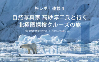 北極圏ブログ4_eyecatch＿ホッキョクグマ