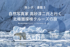 北極圏ブログ5_eyecatch＿ホッキョクグマ