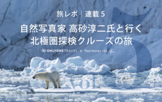 北極圏ブログ5_eyecatch＿ホッキョクグマ