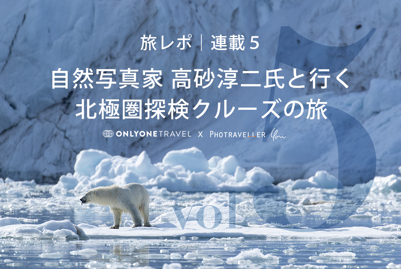 北極圏ブログ5_eyecatch_ホッキョクグマ