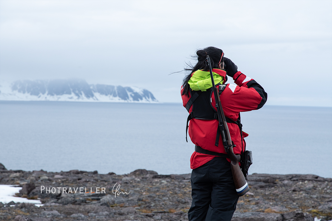 ホッキョクグマ偵察中
