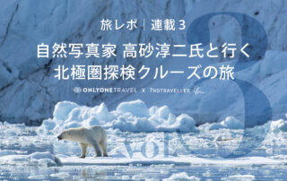 北極圏ブログ3_eyecatch＿ホッキョクグマ