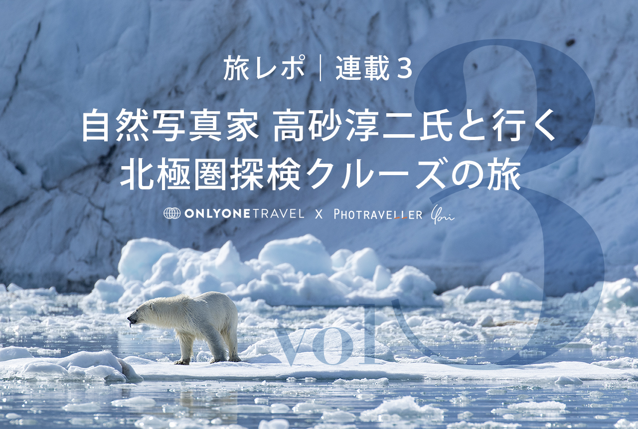 北極圏ブログ3_eyecatch_ホッキョクグマ