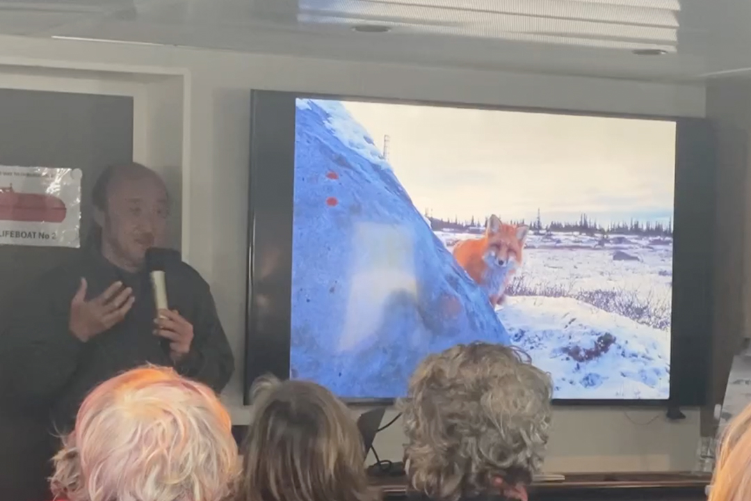 高砂淳二氏＿アカギツネ