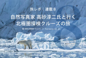 北極圏ブログ8_Eyecatch_ホッキョクグマ