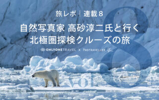 北極圏ブログ8_Eyecatch_ホッキョクグマ