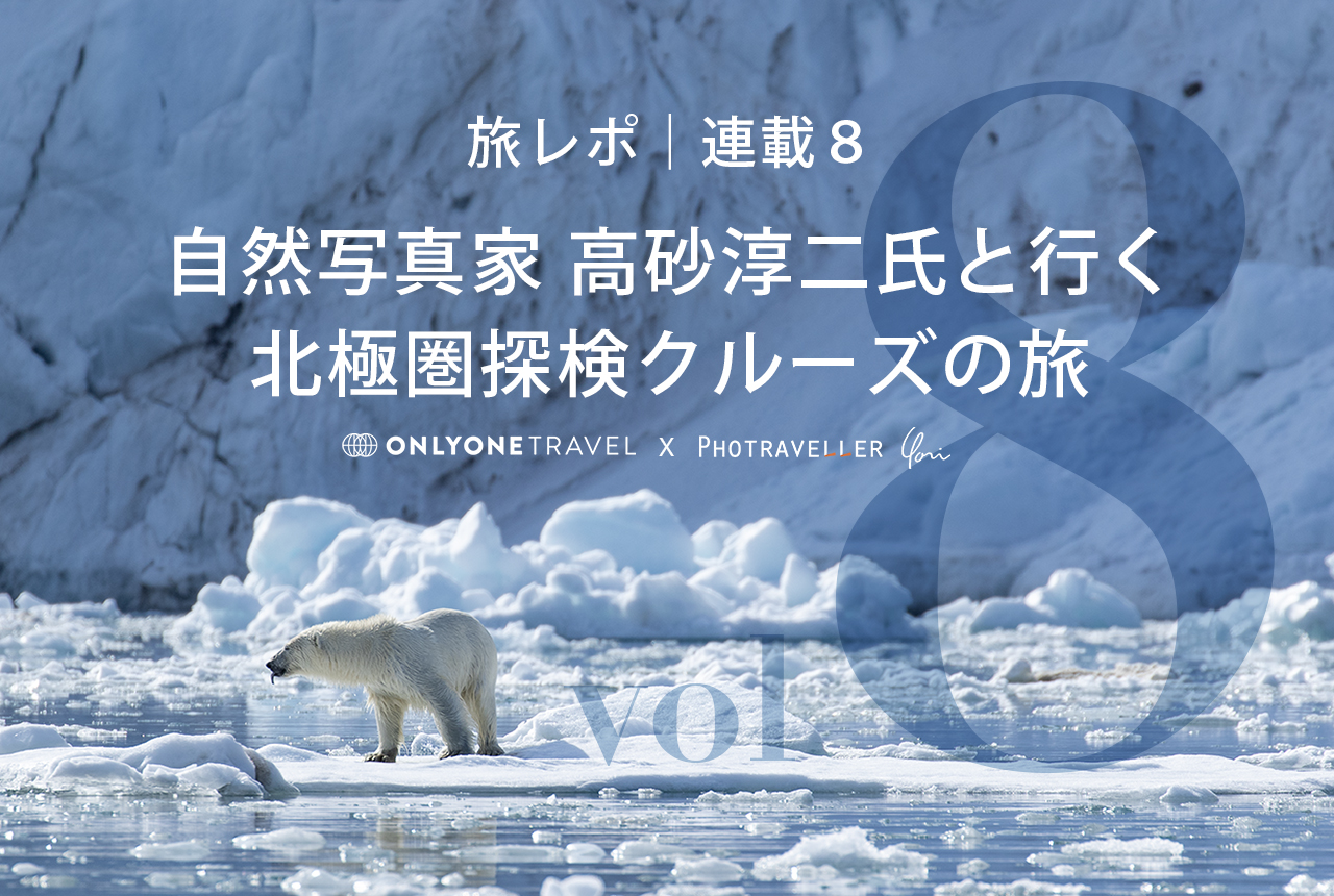 北極圏ブログ8_Eyecatch_ホッキョクグマ