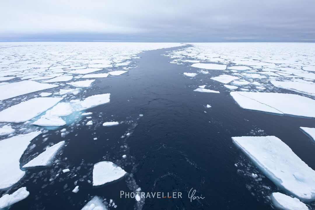 氷の原野に残された道