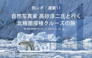 北極圏ブログ11_ホッキョクグマ