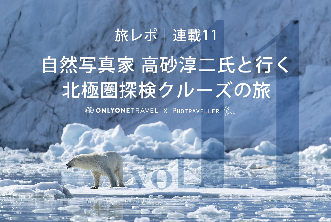 北極圏ブログ11_ホッキョクグマ