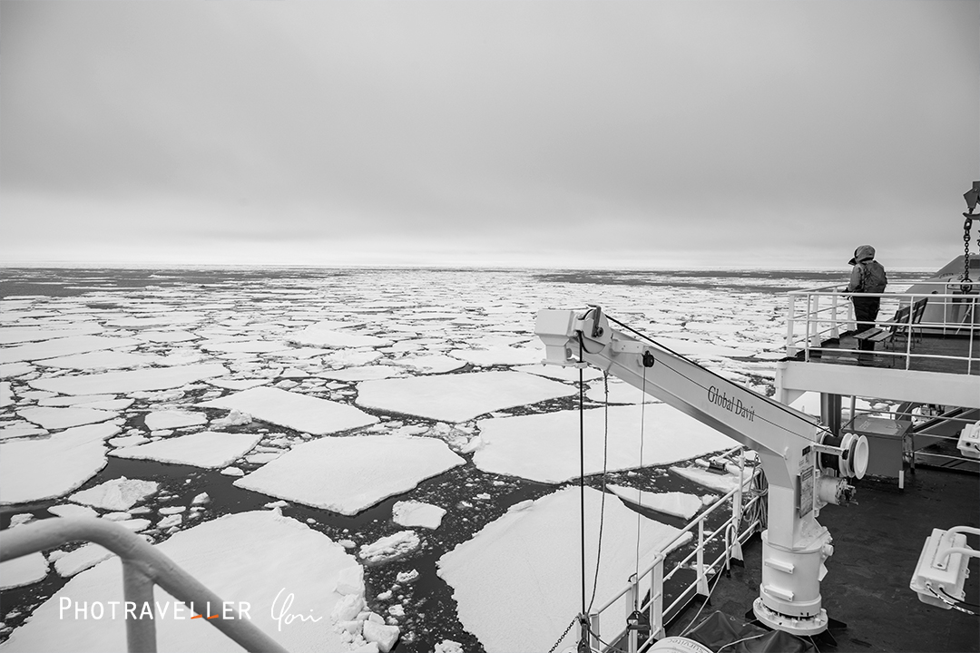 北極海_海氷_BW