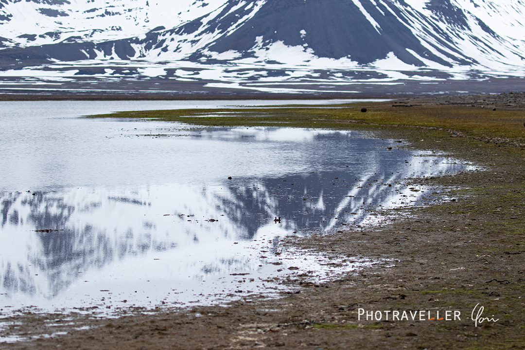 Svalbard_Prins Karls Forlan