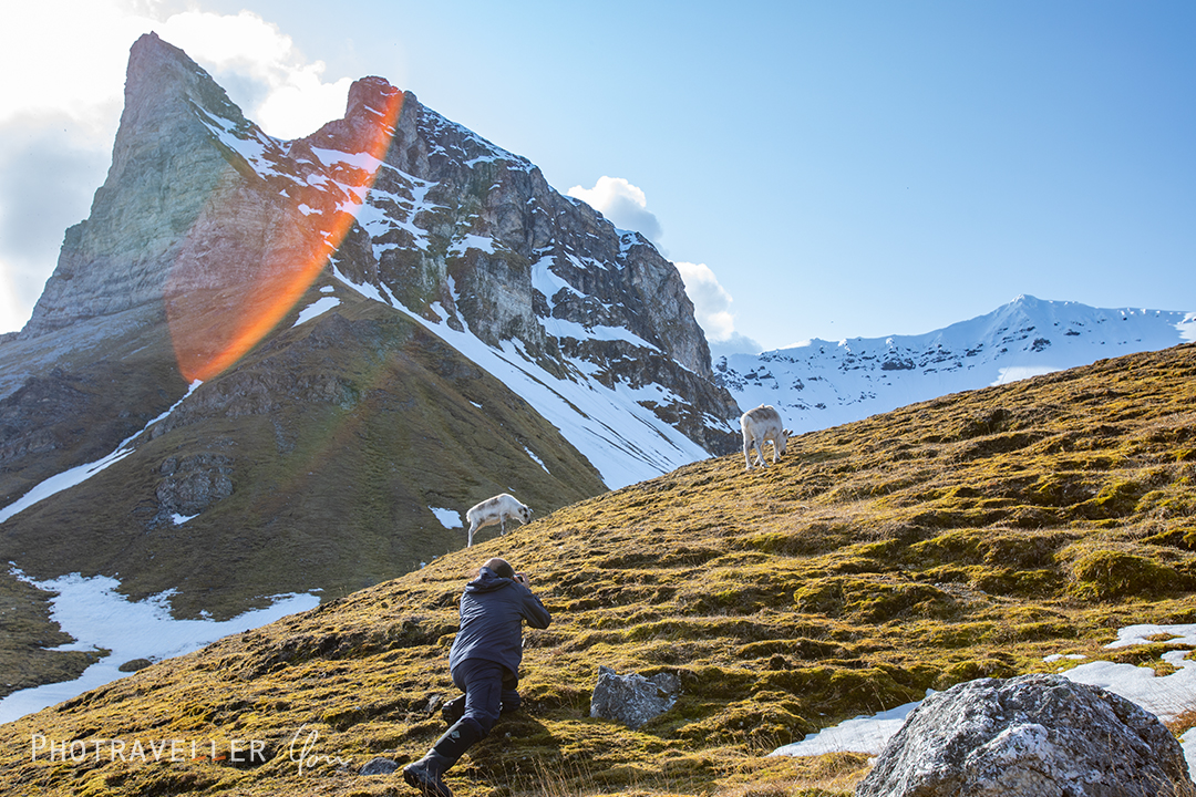 高砂淳二シショートナカイ撮影中